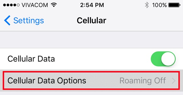 3. گزینه "Cellular Data Options" را انتخاب کنید.