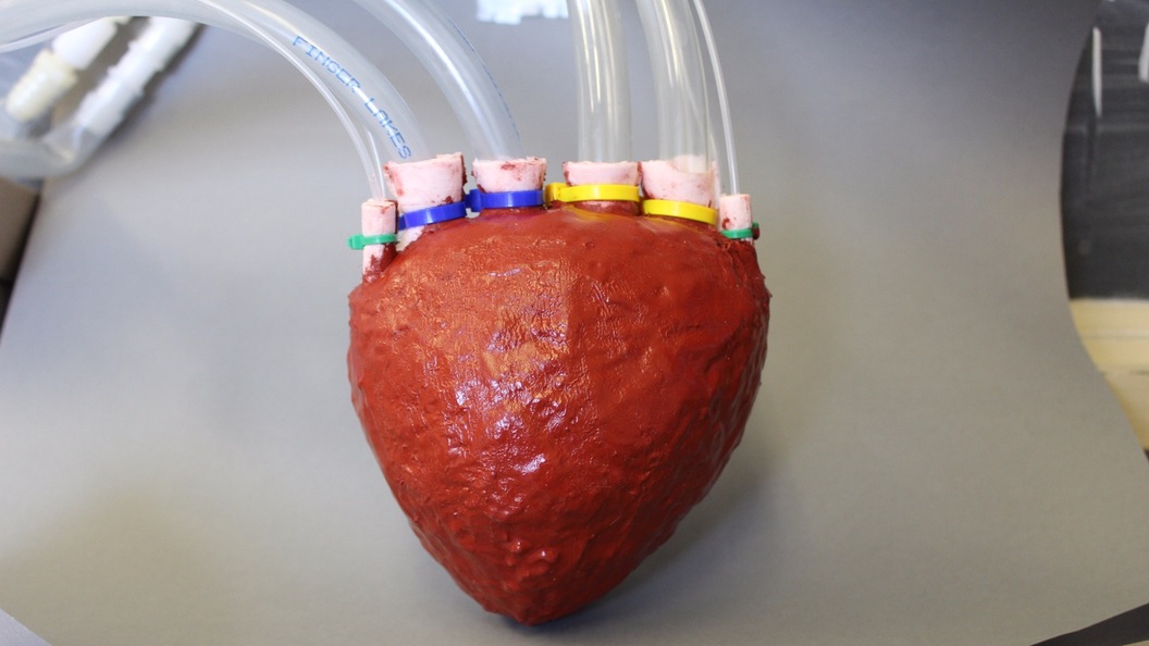دانشمندان یک قلب مصنوعی پمپاژکننده با استفاده از فوم ساختند