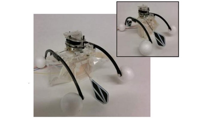 Row-bot:  روباتی که با بلعیدن میکروب های آب، انرژی مورد نیاز خود را نیز تامین می کند