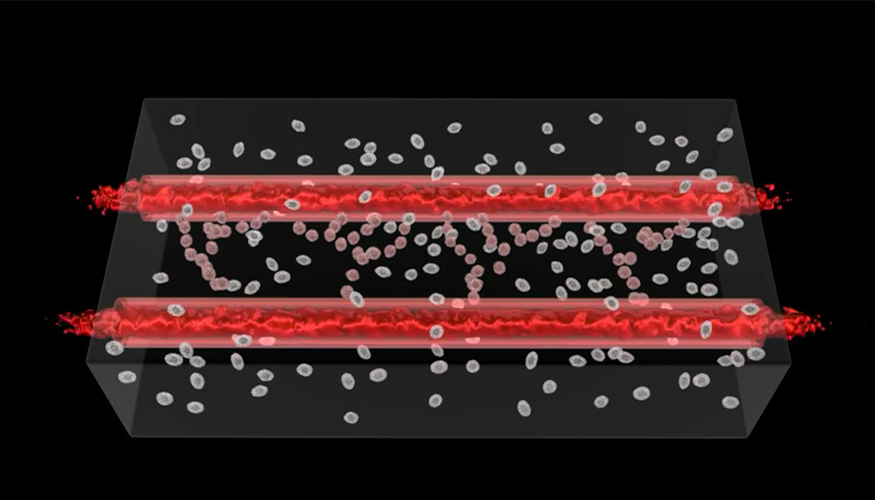 ایجاد رگ های خونی زنده با چاپ سه بعدی