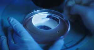 دانشمندان موفق به تولد موش زنده از سلول های پوست شدند