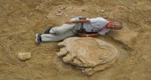کشف بقایای بزرگترین دایناسور تاریخ