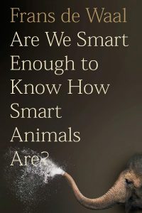 آیا ما انسان ها به قدری با هوش هستیم که از هوش حیوانات آگاه باشیم؟