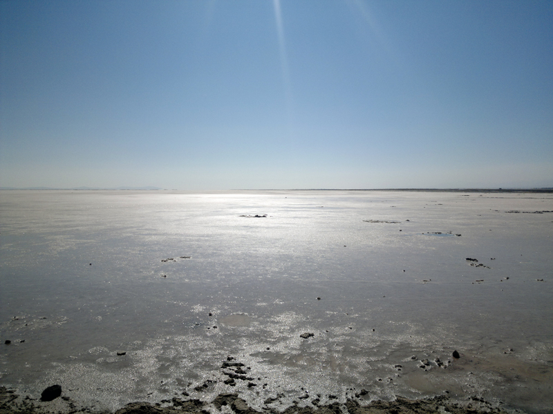 خشک شدن آب دریاچه ارومیه "فاجعه‌ای" است که اثرات بی نهایت مخربی بر اکوسیستم شمال غرب ایران و شرق ترکیه و شمال شرقی عراق خواهد داشت.