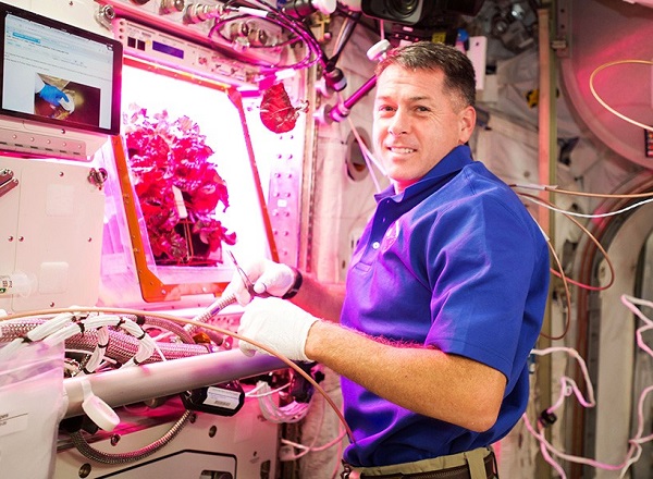 شین کیمبرو فرمانده ماموریت اکسپدیشن 50 در ایستگاه فضایی بین المللی، ناسا پیش از این در ایستگاه فضایی، امکان کاشت محصولات در فضا را مورد آزمایش قرار داده است
