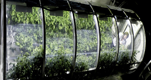 ناسا گلخانه بادی طراحی کرده که امکان کاشت سبزیجات در مریخ را فراهم می کند