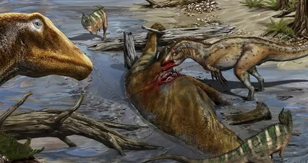 کشف یک گونه جدید دایناسور و شناسایی یک فسیلی قدیمی