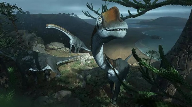 وویوریا دامپریسنسیس یک دایناسور گیاهخوار بوده که از انواع گیاهان از جمله سرخس ها و مخروطیان تغذیه می کرده است. این جانور در دوره ژوراسیک پایانی حدود 160 میلیون سال پیش ، می زیسته اند