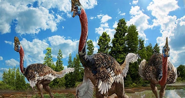 کشف دایناسوری شبیه به پرندگان مدرن
