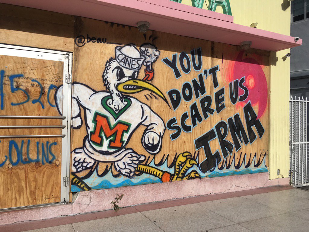 هرکس به نوعی سعی دارد با طوفان مقابله کرده یا ترس خود را نشان دهد. | معنی نقاشی روی دیوار: "تو نمی تونی ما رو بترسونی، ایرما!"