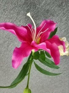 گالری/ نمونه عکس هایی که با دوربین شیائومی می میکس 2 گرفته شده اند