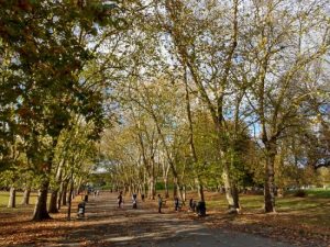 بررسی اچ تی سی یو 11 لایف : عملکرد دوربین