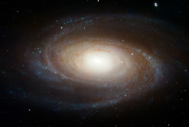 کهکشان M81