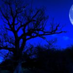 blue moon