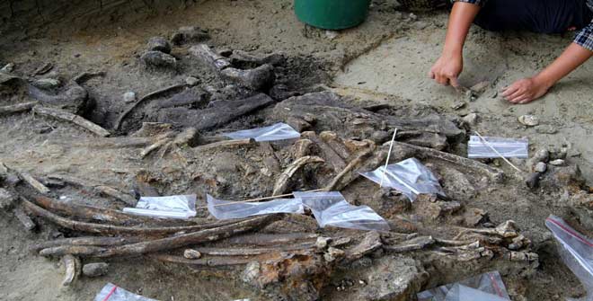 کشف ابزارهای 700 هزار ساله ای در فیلیپین