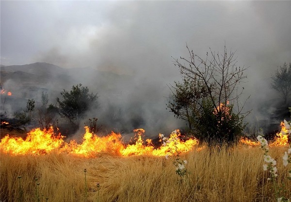 آتش‌سوزی کردستان