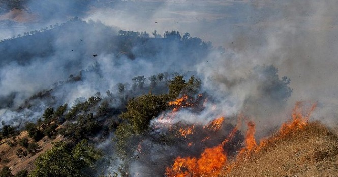 آتش‌سوزی جنگل‌های مریوان ؛ 4 نفر جان باختند