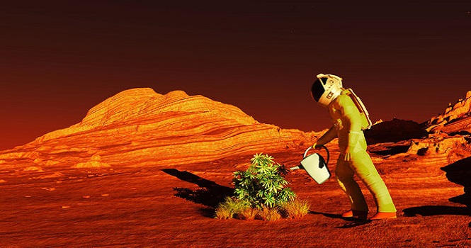 کشاورزی در مریخ ؛ چگونه در مریخ محصولات غذایی تولید کنیم؟