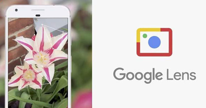 ادغام گوگل لنز و جستجوی تصویری گوگل؛ یافتن تصاویری بهتر