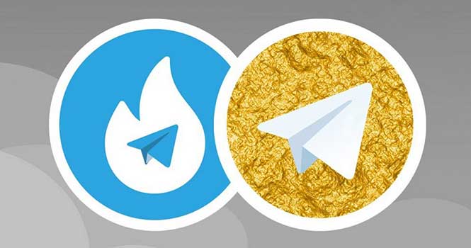 واردات 2 هزار سرور برای هاتگرام و تلگرام طلایی با ارز دولتی