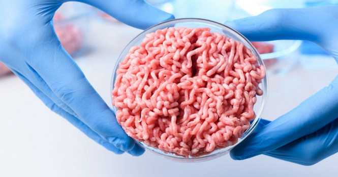 گوشت آزمایشگاهی ؛ آینده غذایی جهان یا گمراه کردن مشتریان؟