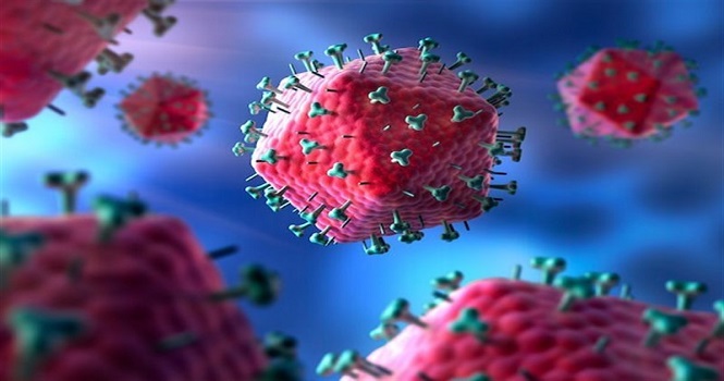 کشنده ترین و مرگبارترین ویروس های تاریخ ؛ خطرناک ترین بیماری های ویروسی کدامند؟