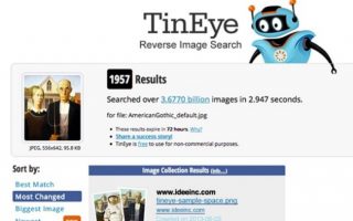 تین آی ریزرو ایمیج سرچ (TinEye Reverse Image Search)