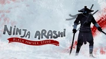 Ninja Arashi