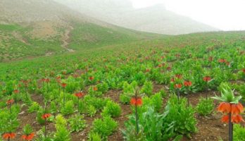 کوهرنگ، بهشت سفید ایران