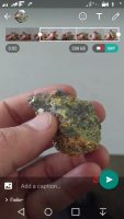آموزش ساخت GIF با واتساپ