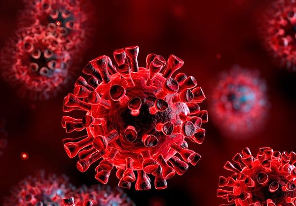 کرونا مانند آنفلوانزا به یک ویروس فصلی تبدیل خواهد شد!