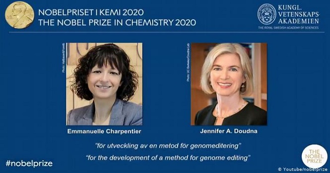 برندگان نوبل شیمی 2020 ؛ دختران توسعه دهنده تکنیک ویرایش ژنی کریسپر!