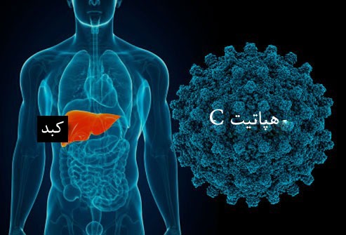 نوبل پزشکی 2020 به کشف ویروس هپاتیت C تعلق گرفت!