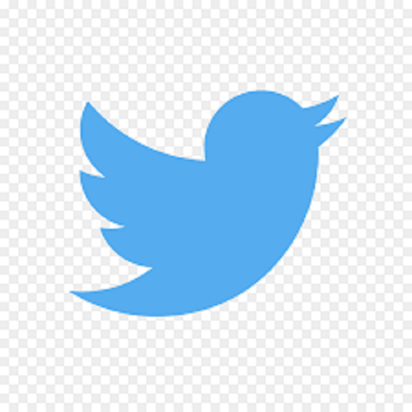 توییت ‌های مرتبط با کرونا در توئیتر پیش از گزارش‌های رسمی وجود داشته است 
