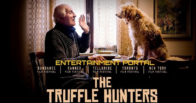 نقد مستند شکارچیان ترافل (The Truffle Hunters 2020) ؛ دنیای در حال مرگ