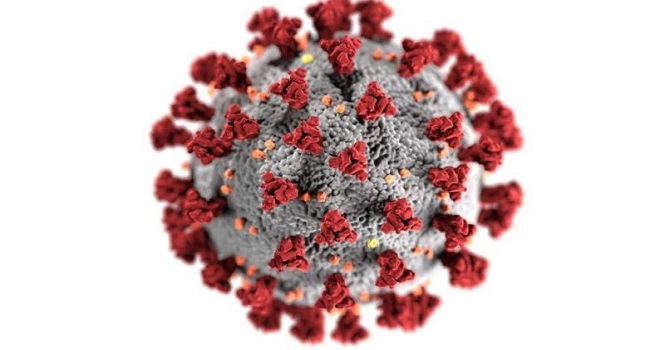 ویروس کرونا هندی چیست و چه علائمی دارد؟