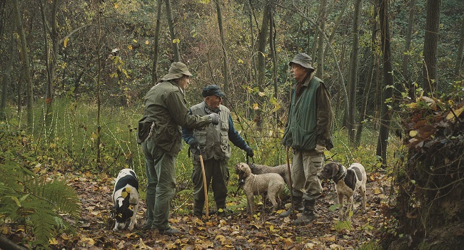 شخصیت پردازی ؛ نقد مستند شکارچیان ترافل (The Truffle Hunters 2020)