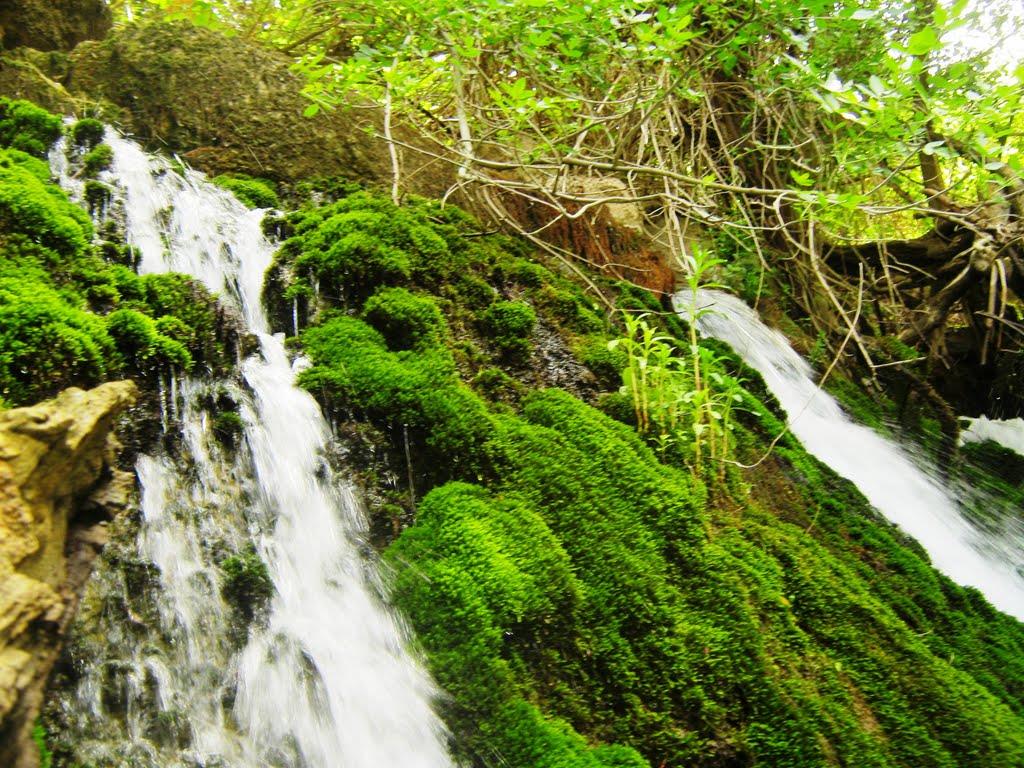 آبشار تنگ دم اسب - بهترین مقاصد طبیعت گردی در ایران