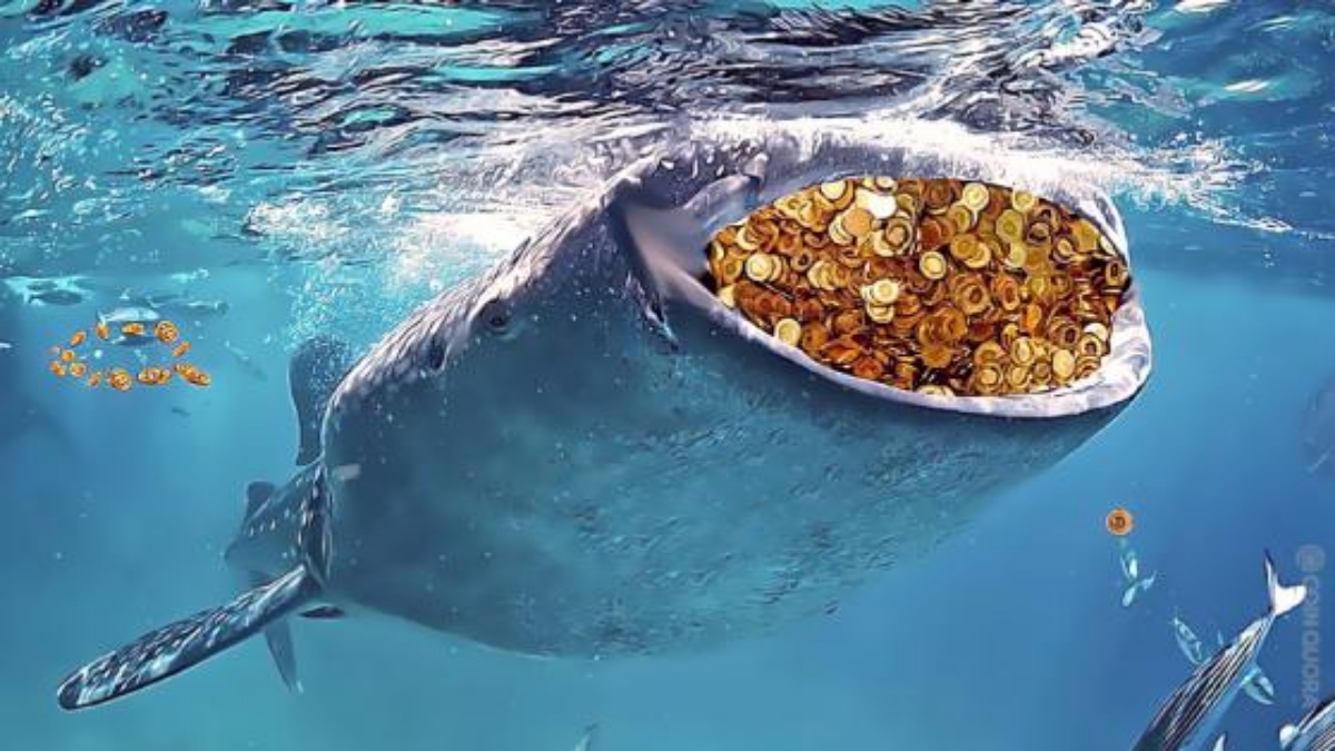 آلت کوین هایی که نهنگ‌های بیت‌کوین به سراغشان می‌روند ؛ از SAND تا SHIBA