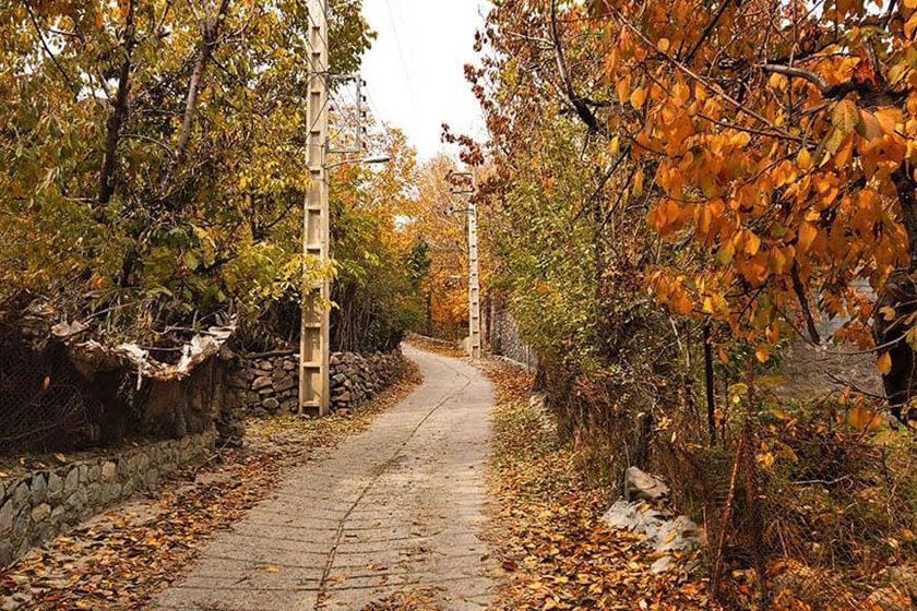 معرفی بهترین جنگل های اطراف تهران