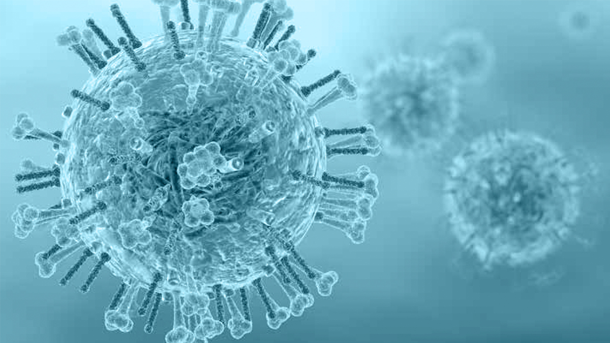 اولین بیمار آنفلوانزای H3N8 در چین گزارش شد