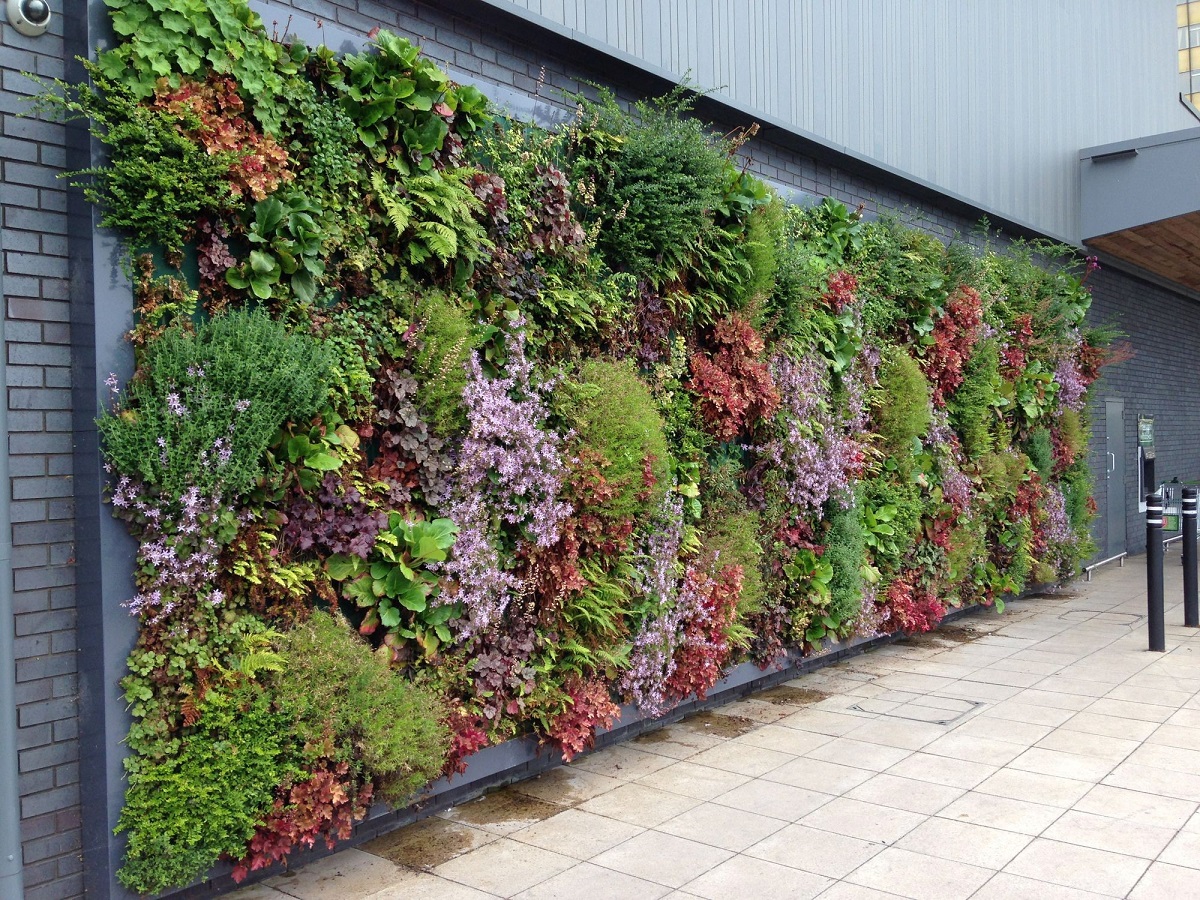 انواع دیوار سبز در طراحی فضای سبز
