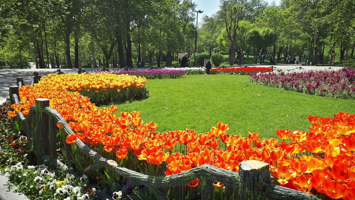 پارک های تهران زنانه مردانه می‌شوند
