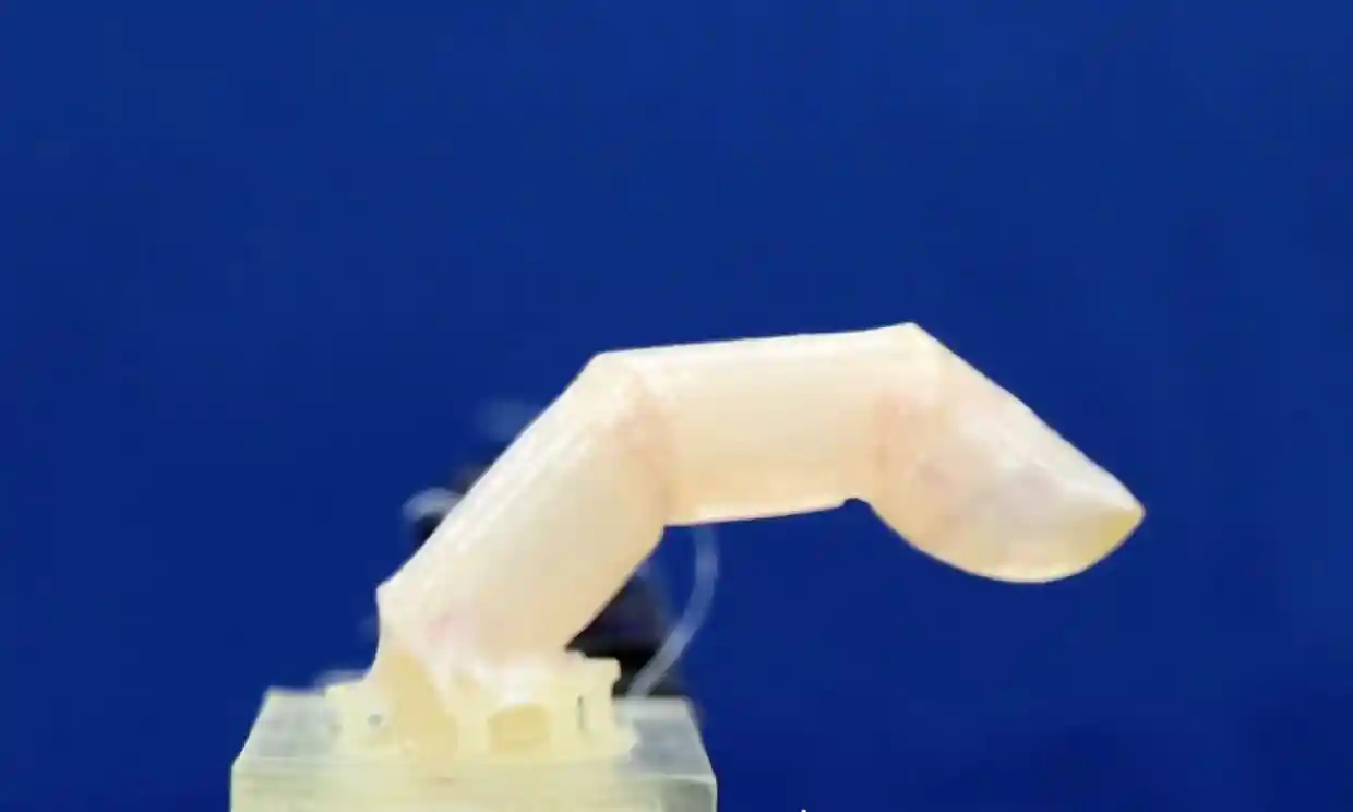 ساخت انگشت رباتیک با روکشی از پوست زنده؛ گامی بزرگ در جهت تولید روبات‌های انسان‌نما
