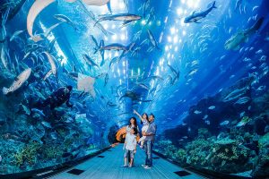جاهای دیدنی دبی ؛ آشنایی با جاذبه های گردشگری دبی