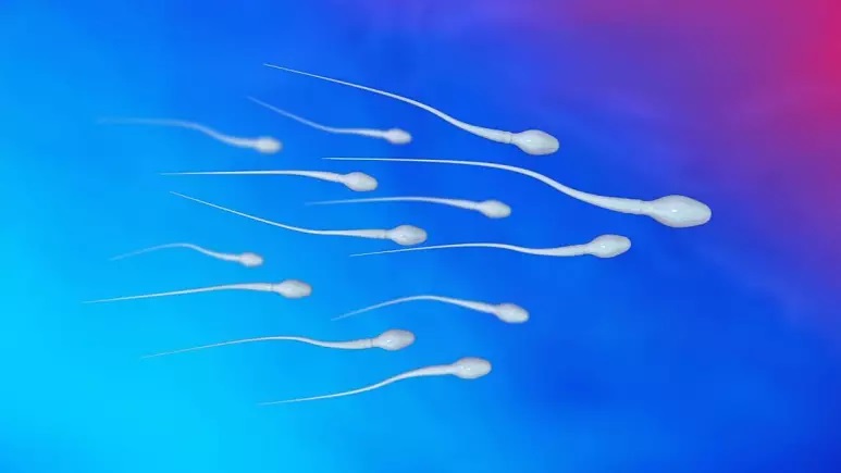 decrease in the quantity and quality of sperm in men;  Will this be cause for extinction?