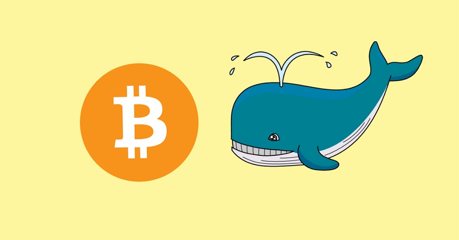 Anonymous Bitcoin Whale transferred 46,000 BTC