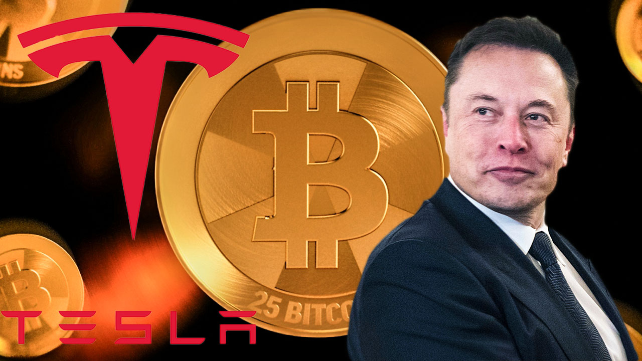 Cryptobiz report: Elon Musk is a tourist of the digital currency market
