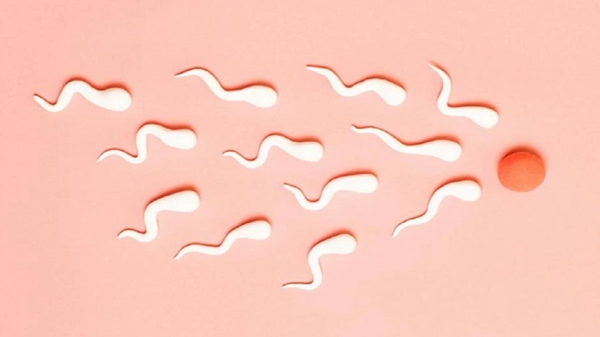کاهش کمیت و کیفیت اسپرم در مردان ؛ آیا این دلیلی برای انقراض خواهد بود؟