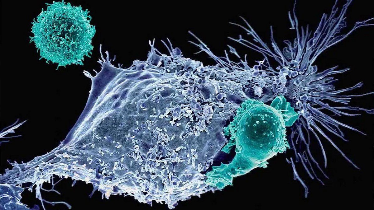 روش جدید درمان سرطان ؛ میکروربات های جلبکی با تولید اکسیژن توده‌های سرطانی را نابود می‌کنند